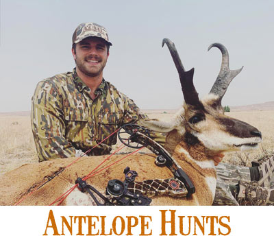 Wyoming Antelope Hunts